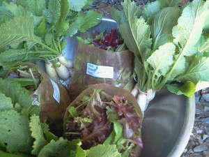 Hand Picked Farm