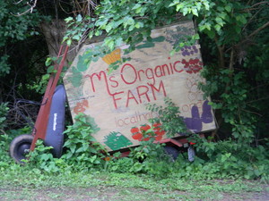 M's  Organic Sustainable Farm
