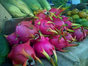 Seasons Farm Fresh