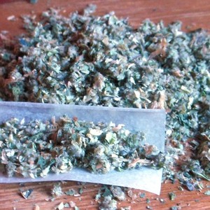 Daggawalla Seeds & Herbs