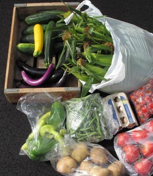 Sunnyside Mini-Farm, LLC