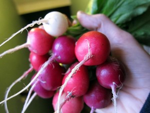 Markwood Acres