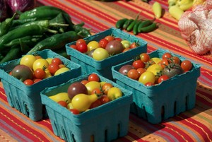 Frochy Community Farm, LLC