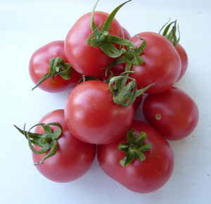 Invincible Summer Farms