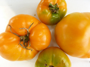 Invincible Summer Farms