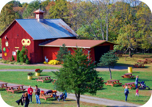 Amazing Farm Fun
