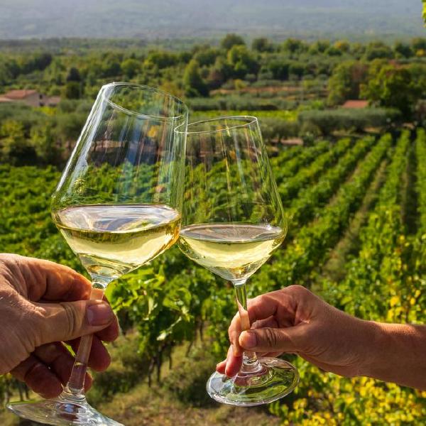 wine