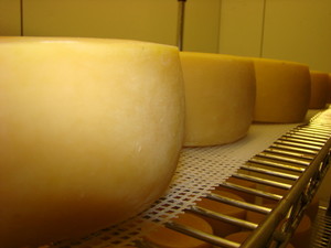 Crosswinds Farm & Creamery