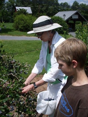 White Oak Farm