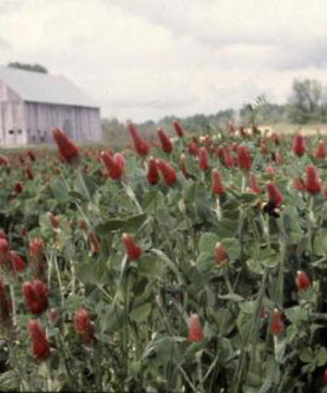 Clagett Farm