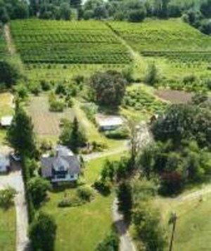FirstFruits Farm