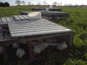 JenEhr Family farm