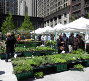 Pru Farmer's Market