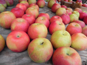 Portage Park Farmers Market