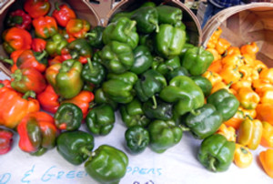SOAR Farmers Market