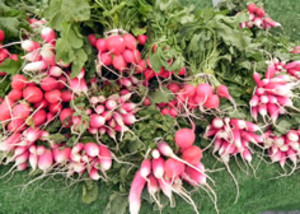 Ravenswood Farmers Market