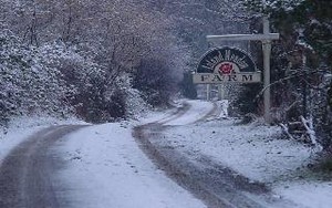 Island Meadow Farm