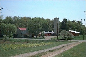Setter Run Farm