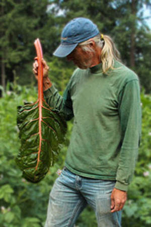 Market Garden at the Anderson Farm