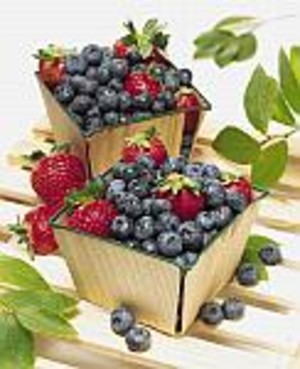 Valley View Blueberries, Inc.