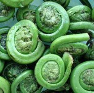Pelletier's Organics