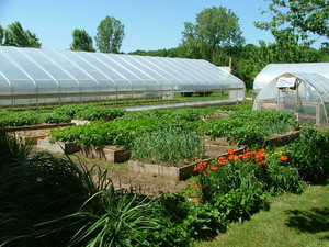 Maple Leaf Farm