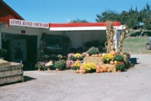 Stone Ridge Orchard