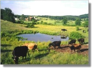 Hawthorne Valley Farm