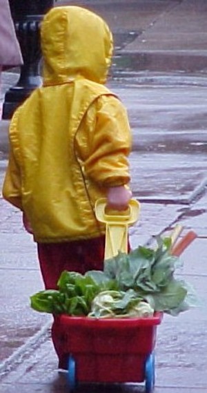 The Federation of Massachusetts Farmers' Markets