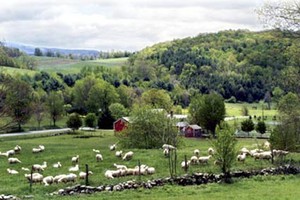 3-Corner Field Farm