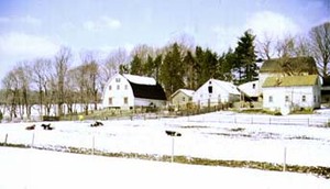Fox Chase Farm
