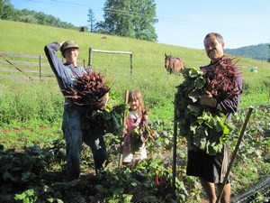 Green Toe Ground Farm