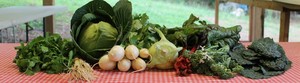 Cane Creek Farm