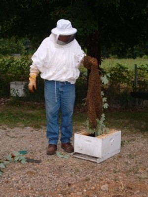 Brush Creek Honey Farm
