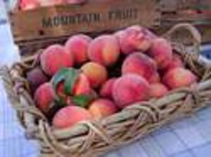 Auburn-DeWitt Farmers' Market