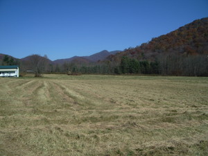 Just Ripe Farm