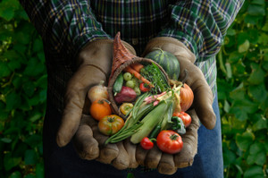 Sappington Farmer's Market - Farm to Family, Naturally LLC