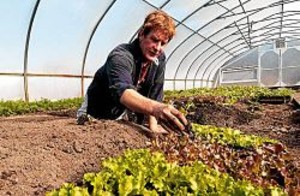 Provident Organic Farm