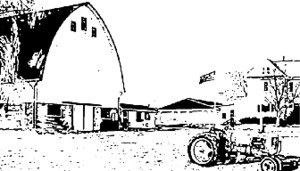 Nature Creek Farm