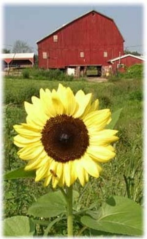Gardner's Farm Market