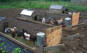 Cascade Farm & Farm School