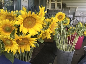 Flycreek Farm