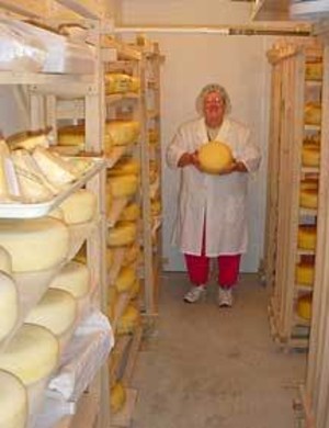 Buckeye Grove Farm Cheese