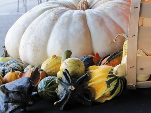 Pitman Farm Market