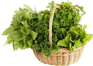 Running Pine Herb Farm