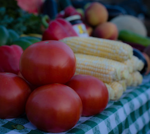 Oceanport Farmer's Market