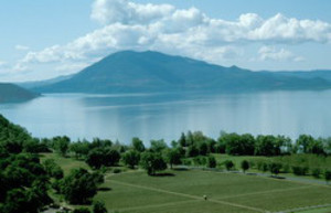 Ceago Vinegarden