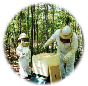 Wright Family Apiaries