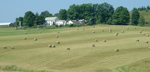 Wheel-View Farm