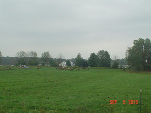 Diversity Farm